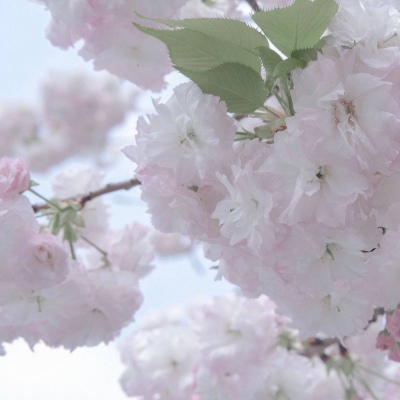 Furry兽设设计技巧FurryQQ群